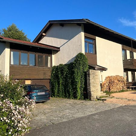 Haus Im Gruenen Leilighet Saalfelden Eksteriør bilde